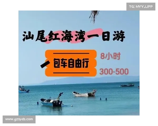 攻略大全:一览制胜,畅游无阻 攻略大全:一览制胜,畅游无阻