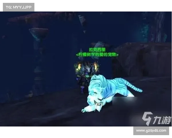 魔兽世界猎人:技能伤害上限提升攻略 魔兽世界猎人:技能伤害上限提升攻略
